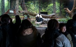 Popular panda twins Lei Lei and Xiao Xiao will depart from a Tokyo zoo for China, leaving Japan without any of the beloved bears for the first time in more than 50 years