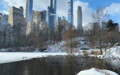 Snow blanketed New York after the historic winter storm