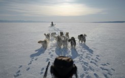 Dogsled teams are low-tech and durable, members of the Sirius patrol argue, making them the best tool for patrolling Greenland's vastness