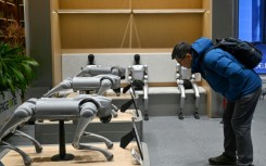 Robot dogs on display at Unitree's retail store in Beijing