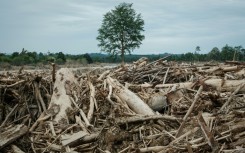 Flooding and landslides made worse by deforestation killed over 1,000 people in Sumatra last year