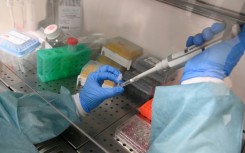 The second Trump White House has sowed doubt over mRNA technology, which was credited with saving millions of lives during the Covid-19 pandemic