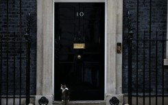 Larry waits to be let in at the door of No. 10 Downing Street, the official residence of Britain's prime minister