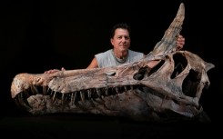 US paleontologist Paul Sereno poses next to the skull cast