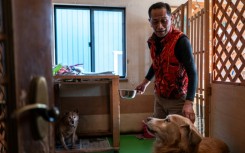 Not far from the Fukushima nuclear disaster site, former plant worker Toru Akama tends to dozens of pets abandoned after the catastrophe 15 years ago