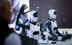 Industrial AI is seen as an area where Europe could compete against the United States and China