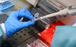 Researchers are finally making some progress in the fight against pancreatic cancer
