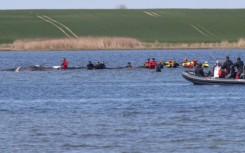 Two entrepreneurs are financing the latest bid to rescue a whale stranded off the German coast