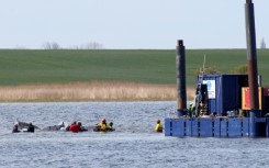 The humpback whale was guided to a special barge