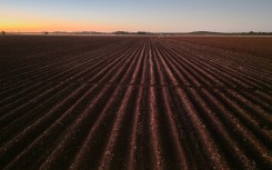 Zimbabwe launched land reforms in 2000, seizing land from white commercial farmers