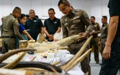 The ivory haul included cut pieces and fragments, as well as prayer beads, jewellery and knife handles, police say