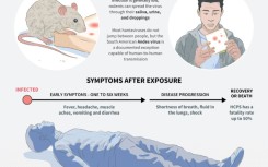 Hantavirus