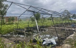 The rioters burnt tents used to isolate suspected Ebola patients