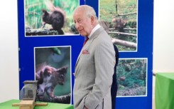 King Charles III is patron of The Red Squirrel Survival Trust