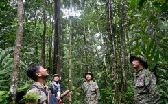 In the last five years, the Central Cardamom protected region has lost nearly 7,000 hectares of tree cover, Global Forest Watch data shows.