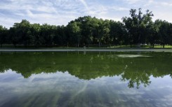 Algae is visible in the Lincoln Memorial Reflecting Pool as cleanup efforts continue where newly applied blue paint has peeled from the bottom, in Washington, DC, on June 20, 2026