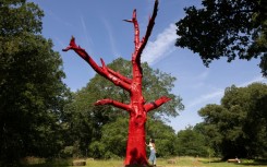 The "Climate Changed Oak Tree" was painted red after dying in the drought of 2022 stands in Kew Gardens, west London