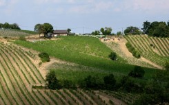 Vienna's "heuriger" wine taverns gained UNESCO listing in 2019