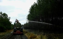 Volunteer farmers have been helping out