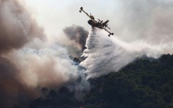 The French fleet only has 12 water bombing aircraft and the soonest it can get more is 2028