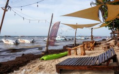 Sargassum covers the beach in Playa del Carmen on June 18, 2025