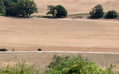 People walk on a dirt track between dry fields, turned brown from the heat of the sun near Guildford, southwest of London