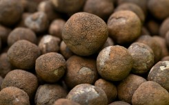 Parts of the Pacific Ocean are carpeted in polymetallic nodules, which contain coveted metals such as nickel and cobalt.