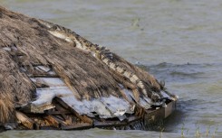 Crocodiles and hippos are moving closer to homes as lake water expands in Kenya's Rift Valley