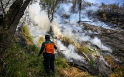 A wildfire has razed 176 hectares in Indonesia's Bromo Tengger Semeru National Park, which lies near Mount Bromo in East Java