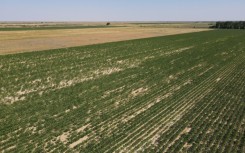 Kazakhstan has been grappling with severe droughts and water shortages