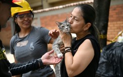 Hundreds of people remain missing in Colombia's quake zone, but some pets have been rescued from the rubble