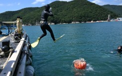 South Korean haenyeo Jin So-hee dives into the sea in the South Korean coastal town of Geoje