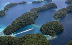 UNESCO describes Palau's marine lakes as "natural laboratories" for science, yielding new species in a zone abundant with large coral.