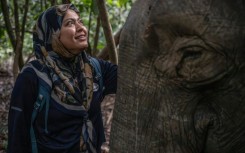Farina Othman, a Borneo elephant conservationist and founder of Seratu Aatai, talks to a female elephant after a GPS collaring operation carried out as part of a collaboration involving several agencies near the Kinabatangan River in Sukau
