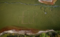 The word 'HELP' has appeared on the dry lake bed