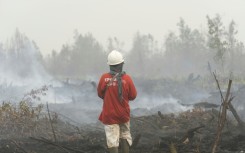 A volunteer firefighter looks at smouldering peatland in Benipis, Ketapang Regency, West Kalimantan