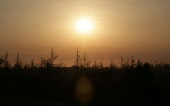 The sun rises over a forest burned by a fire in southern France