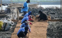 Workers lay coconut-fibre bags next to oyster shells on a breakwater at Pamarawan Island in Malolos City, in the Philippines Bulacan province