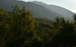 A battle over the fate of a forest has exposed tensions between Armenia and Azerbaijan