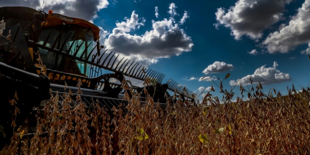 The impact of COVID-19 on black farmers in South Africa - Vimarsana News