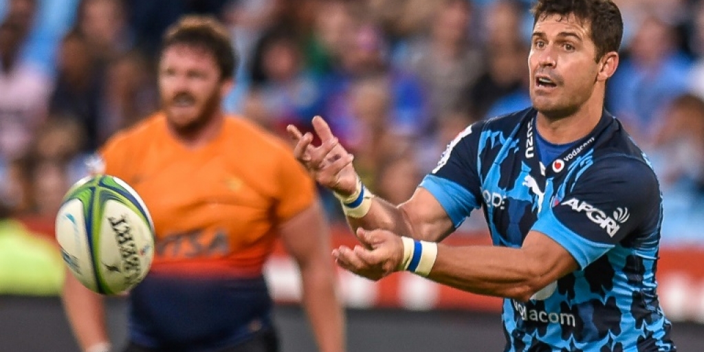 Steyn stars as Bulls reach Rainbow Cup final against Benetton - Vimarsana News