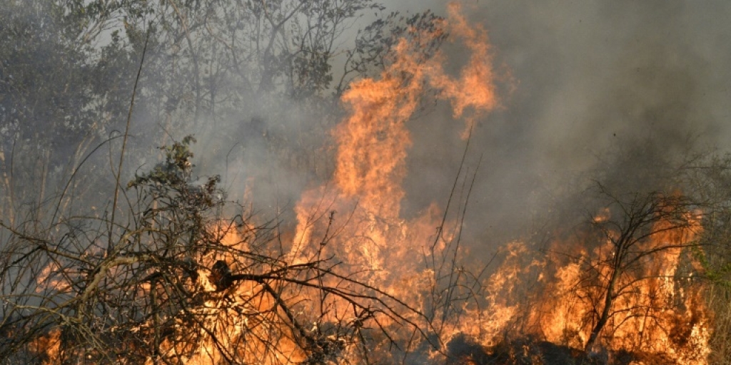 Tips to stay safe in fire season - Vimarsana News