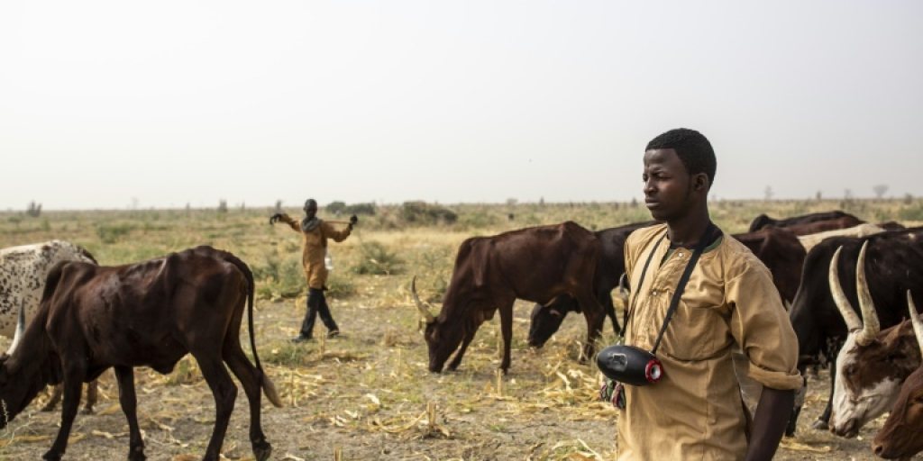 30,000 flee to Chad after Cameroon violence, says UN - Vimarsana News