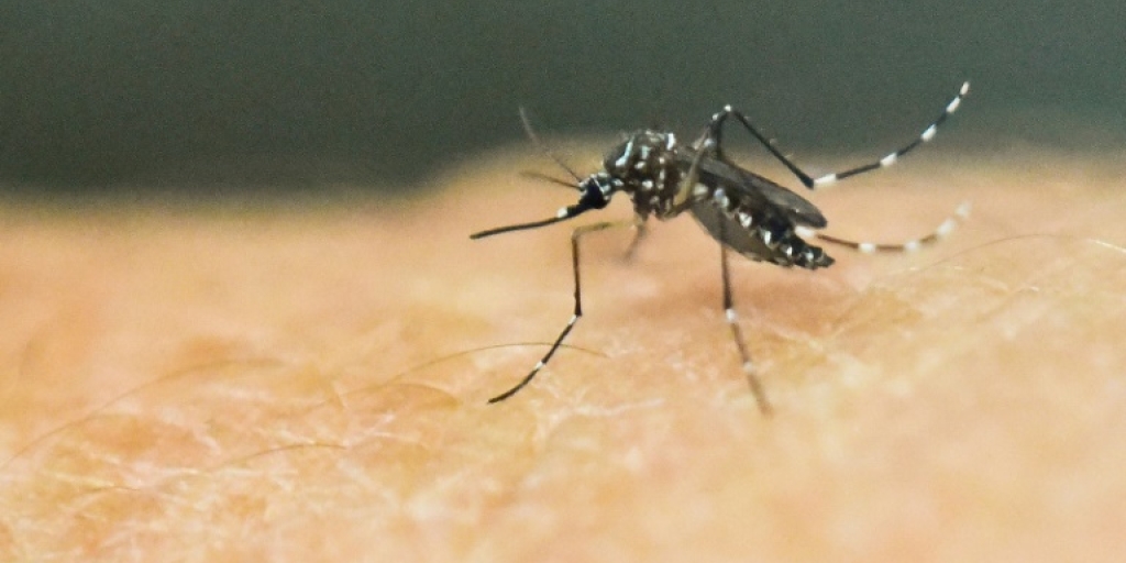 Four people die of yellow fever in Kenya - Vimarsana News